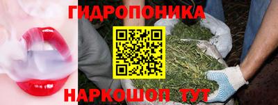 прущий лед Обь