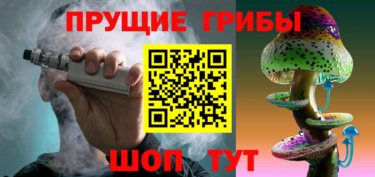 Псилоцибиновые грибы Psilocybine cubensis  Вход с VPN  Северск 